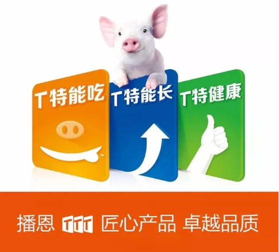 ǲ(й)ٷվ