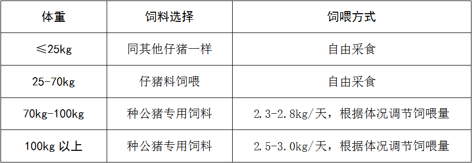 ǲ(й)ٷվ